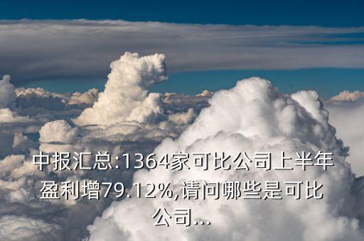 中報(bào)匯總:1364家可比公司上半年盈利增79.12%,請(qǐng)問(wèn)哪些是可比公司...