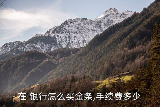 去銀行買(mǎi)黃金