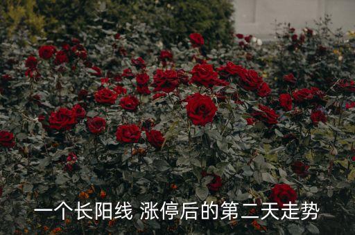 一個長陽線 漲停后的第二天走勢