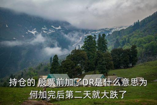 持倉(cāng)的 股票前加了DR是什么意思為何加完后第二天就大跌了
