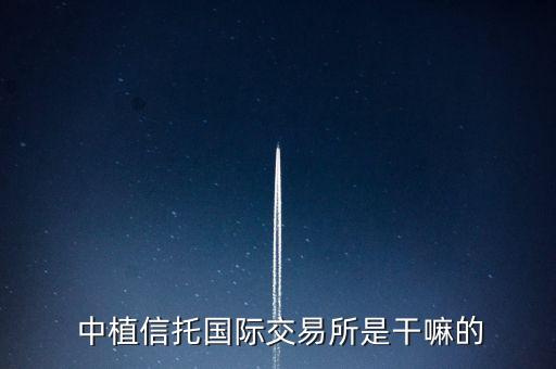 中植集團資產(chǎn)多少億