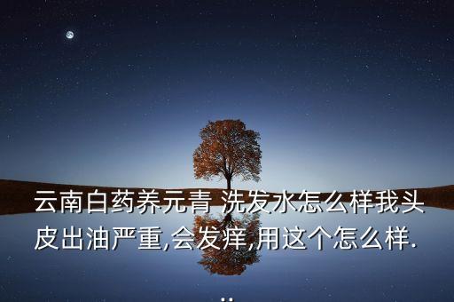 云南白藥養(yǎng)元青 洗發(fā)水怎么樣我頭皮出油嚴重,會發(fā)癢,用這個怎么樣...