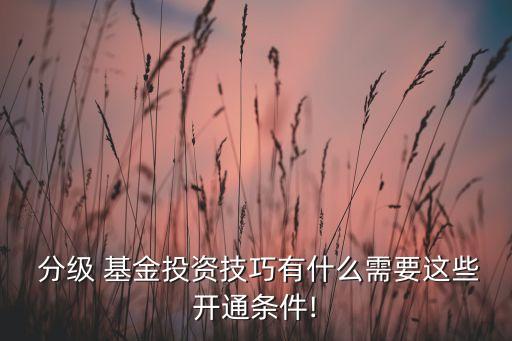  分級(jí) 基金投資技巧有什么需要這些開通條件!