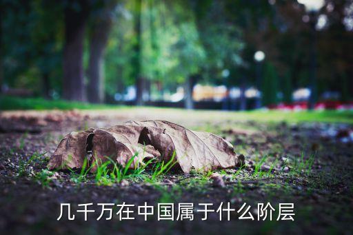 幾千萬在中國屬于什么階層
