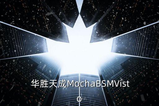  華勝天成MochaBSMVisto