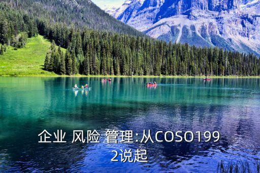 德隆集團風(fēng)險管理框架