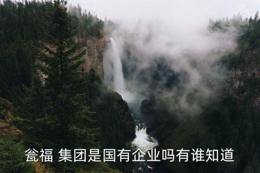 翁福集團(tuán)股票,甕福集團(tuán)簡介