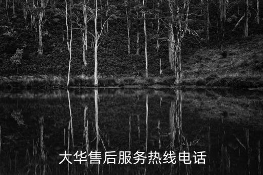 哈爾濱大華股份有限公司,浙江大華技術股份有限公司怎么樣