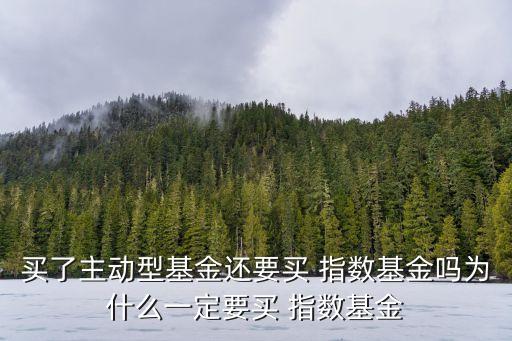 買了主動(dòng)型基金還要買 指數(shù)基金嗎為什么一定要買 指數(shù)基金