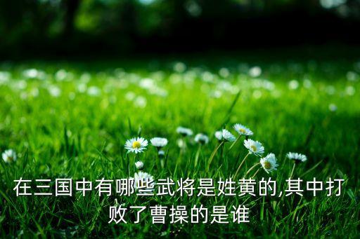 盤(pán)興集團(tuán)黃忠義,福建盤(pán)興集團(tuán)黃忠義