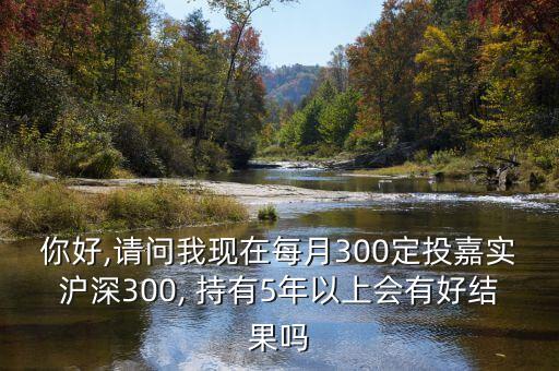 你好,請問我現(xiàn)在每月300定投嘉實滬深300, 持有5年以上會有好結(jié)果嗎