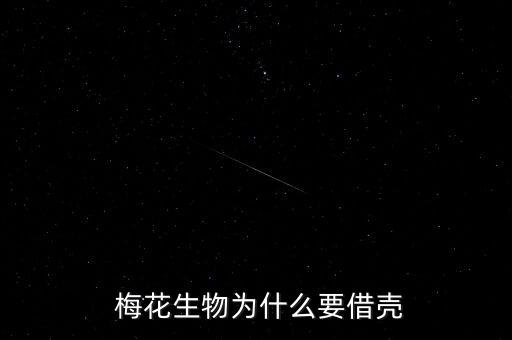 五家渠梅花集團老總姓名,新疆五家渠梅花集團怎么樣