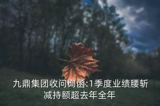 九鼎投資內幕,北京九鼎投資集團簡介