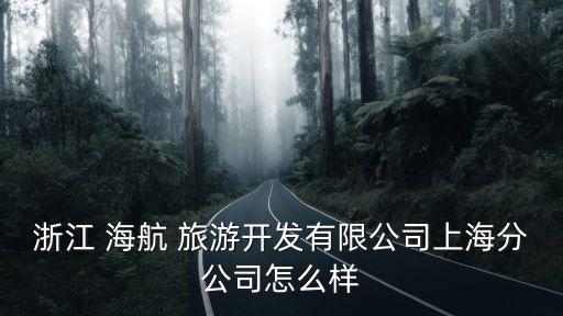 海航旅游集團(tuán)方伐,海航航空旅游集團(tuán)有限公司