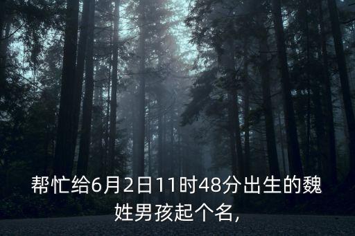 金化集團魏偉,甘肅金化集團現(xiàn)狀