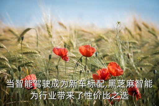 當智能駕駛成為新車標配,黑芝麻智能為行業(yè)帶來了性價比之選