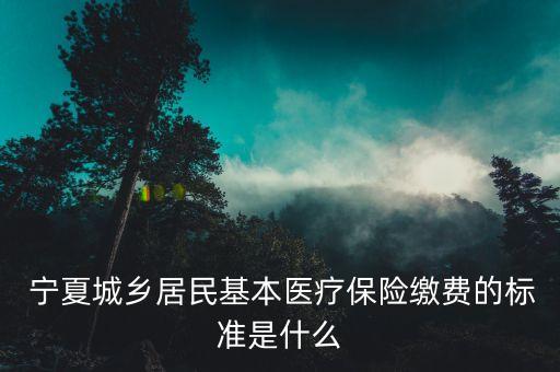  寧夏城鄉(xiāng)居民基本醫(yī)療保險(xiǎn)繳費(fèi)的標(biāo)準(zhǔn)是什么
