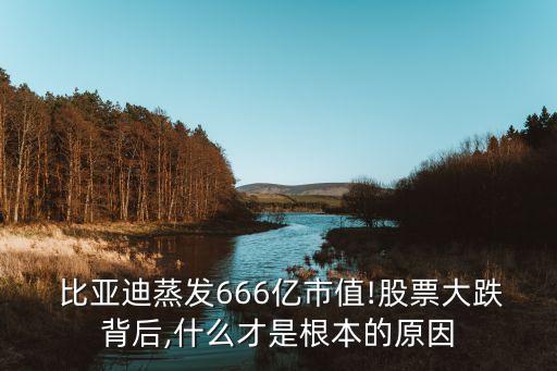 比亞迪股份有限公司財務(wù)報表分析