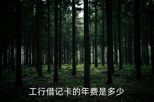 工行借記卡的年費是多少