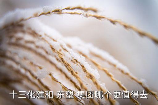 十三化建和 東塑 集團(tuán)哪個(gè)更值得去
