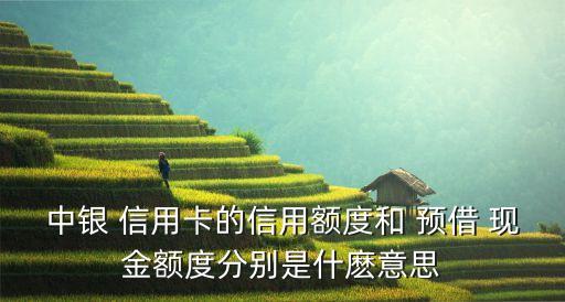 中銀 信用卡的信用額度和 預借 現(xiàn)金額度分別是什麼意思