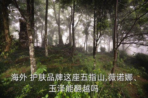 海外 護膚品牌這座五指山,薇諾娜、玉澤能翻越嗎