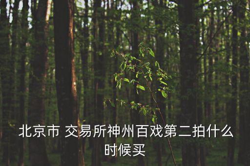  北京市 交易所神州百戲第二拍什么時候買