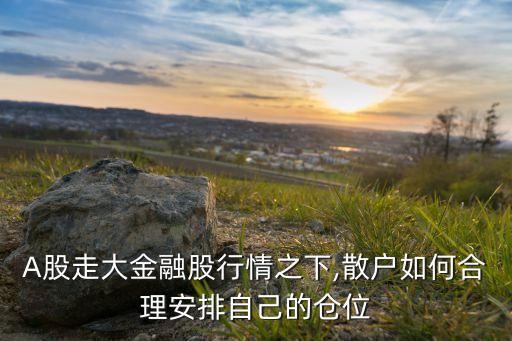 A股走大金融股行情之下,散戶如何合理安排自己的倉(cāng)位