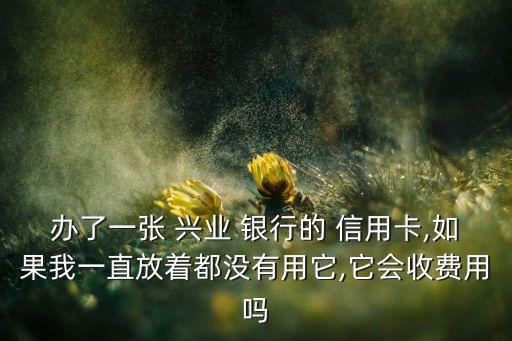 興業(yè)銀行信用卡年費(fèi)政策