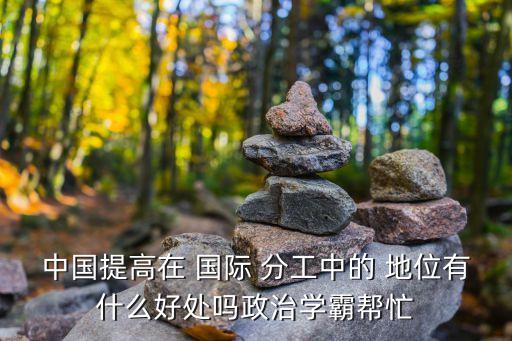 中國提高在 國際 分工中的 地位有什么好處嗎政治學霸幫忙
