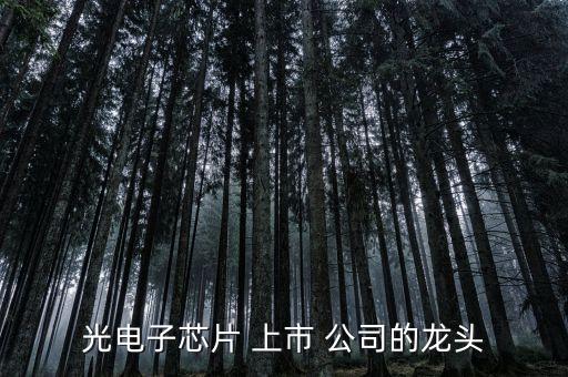 光電子芯片 上市 公司的龍頭