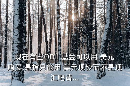 現(xiàn)在有些QDII 基金可以用 美元購買,是指只能用 美元現(xiàn)鈔而不是現(xiàn)匯吧請(qǐng)...