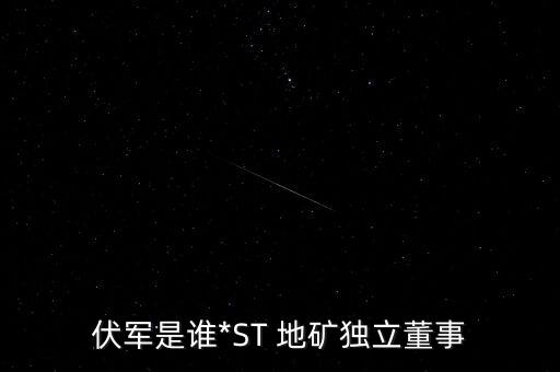 伏軍是誰*ST 地礦獨立董事