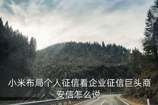  小米布局個人征信看企業(yè)征信巨頭商安信怎么說