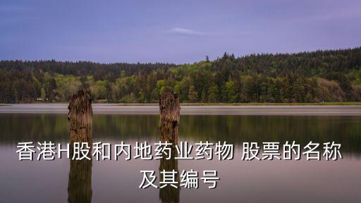 香港H股和內(nèi)地藥業(yè)藥物 股票的名稱及其編號