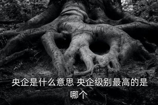 央企是什么意思 央企級(jí)別最高的是哪個(gè)