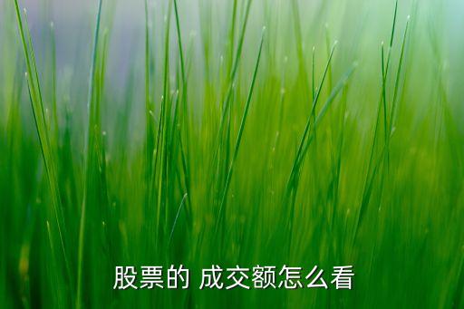  股票的 成交額怎么看
