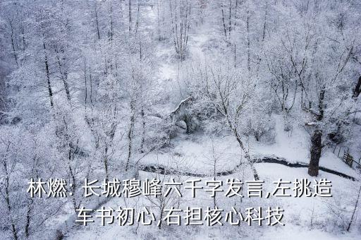 長城集團馬利清