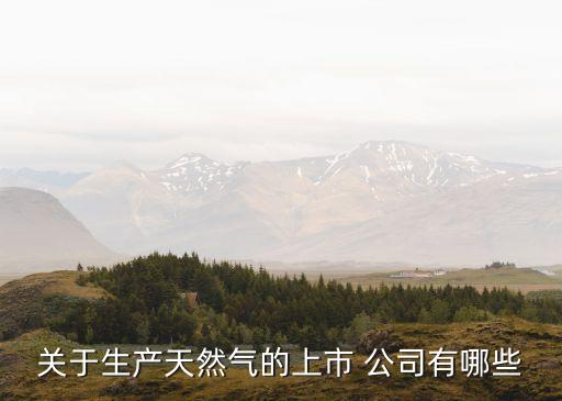 杰瑞股份是什么公司,煙臺(tái)杰瑞是什么公司