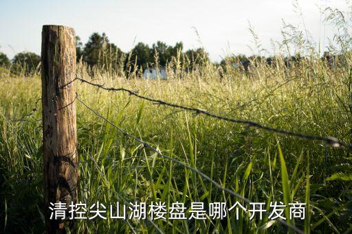  清控尖山湖樓盤是哪個(gè)開(kāi)發(fā)商