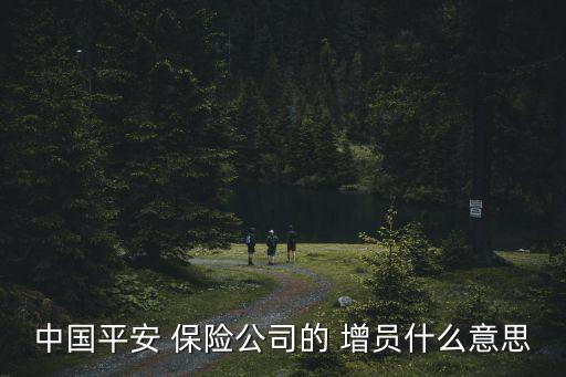 中國(guó)平安 保險(xiǎn)公司的 增員什么意思