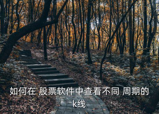 股票時間周期源碼,股票的時間周期