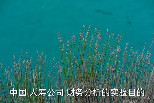 中國人壽財務