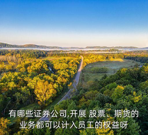 有哪些證券公司,開展 股票、期貨的業(yè)務(wù)都可以計(jì)入員工的權(quán)益呀
