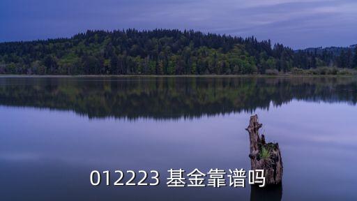 012223 基金靠譜嗎