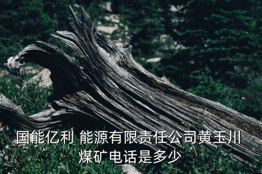 國能億利 能源有限責任公司黃玉川 煤礦電話是多少