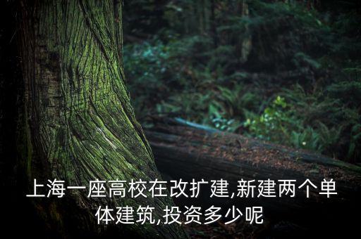  上海一座高校在改擴(kuò)建,新建兩個(gè)單體建筑,投資多少呢
