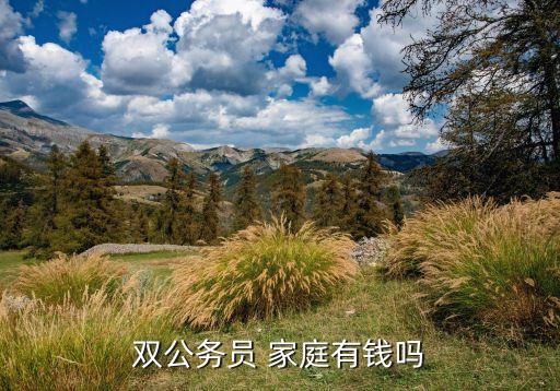 雙公務(wù)員 家庭有錢嗎