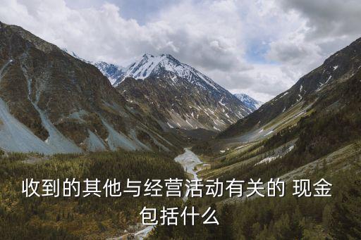 收到的其他與經(jīng)營(yíng)活動(dòng)有關(guān)的 現(xiàn)金 包括什么