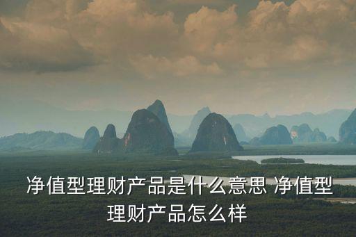  凈值型理財產(chǎn)品是什么意思 凈值型理財產(chǎn)品怎么樣